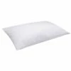 Almohada De Fibra Con Tratamiento Antialérgico 40x135cm Pikolin Home -Forros De Cama Ventas 2024 00df8d7658788947dc5af3a7d37486307ad1f5d6 174ce9e735f348ff878bfe48fb7accc8