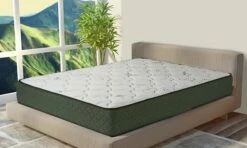 Colchón Viscoelástico California Especial Antibacteriano 67,5x180 18 Cm ±2 -Forros De Cama Ventas 2024 03d7a73301357616b7840f99ba26cc9af0cc0819 9058b66b8aa442d9b4927815182c459d