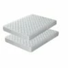 Pack Colchones Visco New York Especial Cama Nido, Doble Cara (Invierno/Verano), Altura 15 Cm 1 Pack Colchones Visco New York Especial Cama Nido, Doble Cara (Invierno/Verano), Altura 15 Cm -Forros De Cama Ventas 2024 1019464d965ed3f719080a18639c89802b91ed8d a69d9c478d3a4c67bb3bee05a85e0a22