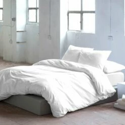 Guy Laroche Funda De Almohada (2) PUREblanco 50x75 (2) Cm -Forros De Cama Ventas 2024 3bbfb97e2f026fea1f86c924e9159b6c7099beda c568bd7de6184749bf77a41181bf46d8