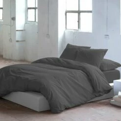 Guy Laroche Funda De Almohada PUREantracita 45x155 Cm -Forros De Cama Ventas 2024 3eee26f9f1f91037f355b32ee762d03dea01ac5a a6645b3433d8442c8ebbcb25bbbbaac9