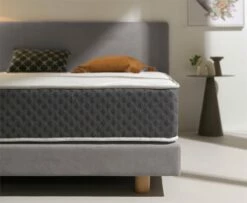 Colchón 67,5x180 Viscoelástico 22 Cm +/-2 LUXURY GRAFENO THERAPY. MATRIS 11 Colchón 67,5x180 Viscoelástico 22 Cm +/-2 LUXURY GRAFENO THERAPY. MATRIS -Forros De Cama Ventas 2024 4487de763db17f9d2d7d20f0bbb82cadd60ebd2d 7b155271e28b4d1dbfb953864dacce68