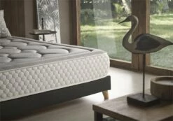 Colchón 67,50x180 Viscoelástico Natur Grafeno 28 Cm +/-2 Firmeza Media-Alta. Matris -Forros De Cama Ventas 2024 4516b36ba058b8b9b570740455a1e0e0a0eee2fa a512d6bee8f9438ba3d5311400560630