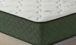 Colchón Viscoelástico California Especial Antibacteriano 67,5x180 18 Cm ±2 -Forros De Cama Ventas 2024 57a1af2906b97b45e07cbd1ee43202ed13dcba19 ff4edd7b3581446a81d793cd734a504e