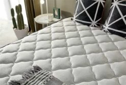 Colchón Viscoelástico Biotherapy 80x180 Altura 30 Cm ±2 9 Colchón Viscoelástico Biotherapy 80x180 Altura 30 Cm ±2 -Forros De Cama Ventas 2024 651ca2f1c661605dbab92287da376374fd2f5224 077d73accc774d649237b7a4f3edd09f