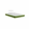 Colchón Viscoelástico Y Aloe, Especial Para Invitados, Altura 15 Cm [REGALO PROMOCIONAL DE ALMOHADA]. Evergreen -Forros De Cama Ventas 2024 73a592d3d4e103a91f5094690ee1efcfc42e619c ea731fb4ec554b9aa34739be2b76348c