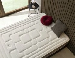 Colchón 90X180 | | Häusbed | Colchón Viscoelástico GUNNAR | Altura 29 Cm | Doble Cara | Núcleo HR Biopore Alta Densidad | Tejido Stretch Tricotado 370g | Gran Confort Y Transpiración -Forros De Cama Ventas 2024 7cb4116c4e2a9b0eed10c5588313acb01d83f549 3b1d4b7888c842eabf1de84283590641