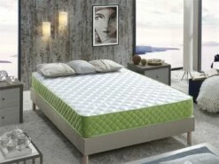 Colchón Viscoelástico Y Aloe, Especial Para Invitados, Altura 15 Cm. Evergreen 17 Colchón Viscoelástico Y Aloe, Especial Para Invitados, Altura 15 Cm. Evergreen -Forros De Cama Ventas 2024 85814370918cab8e6815240ca9f9253b3614d5b6 428fb72296f541448ce8891b1d16c71a