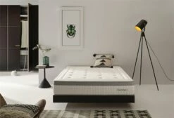 Colchón 80X190 | Häusbed | Colchón Viscoelástico BIRKE | Altura 26cm | Relleno Viscoelástico Thermosystem HR | Núcleo HR Biopore Alta Densidad | Tejido Stretch Coral 350g | Gran Confort 13 Colchón 80X190 | Häusbed | Colchón Viscoelástico BIRKE | Altura 26cm | Relleno Viscoelástico Thermosystem HR | Núcleo HR Biopore Alta Densidad | Tejido Stretch Coral 350g | Gran Confort -Forros De Cama Ventas 2024 9101a151cf3fd2426fa93edaf5544350a9276b86 cc6e4d36283547ceb5128fe66669c72d