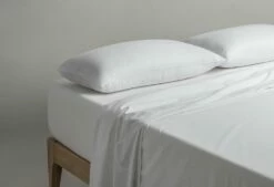 Almohada Ecofiber | HÄUSBED | Sistema Antiacaros Y Antibacterias 80 Cm -Forros De Cama Ventas 2024 966e2807c0e012774cfb6db2fa4d8785caf66972 d1c93106671643e1bba8297c9e28215f