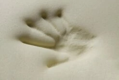 Almohada Cervical Viscoelástica | HÄUSBED | Almohada Ortopédica Para Cama, Funda Lavable. 70 Cm -Forros De Cama Ventas 2024 99390956c68f6aff570b68118a6d7fdf6c19ce2d ade10a7b4b1f40b5b3a3c9ab4a2e6b4a