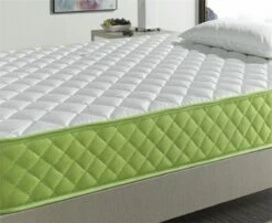 Colchón Viscoelástico Y Aloe, Especial Para Invitados, Altura 15 Cm. Evergreen 13 Colchón Viscoelástico Y Aloe, Especial Para Invitados, Altura 15 Cm. Evergreen -Forros De Cama Ventas 2024 b8d9ed00f9822050be0173e2288a8931fd12c0a4 48fd408fb3264ebeaca09882bb4c55da