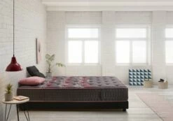 Colchón Viscoelástico Spa Sense 67,5X180 Altura 26cm +/-2 MATRIS -Forros De Cama Ventas 2024 c1d522f98939e3ab17a6cbf2af7a31b123c3a87a 94ab3c1972fc46efaf828e38698caef8