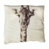 Cojín JIRAFA -Forros De Cama Ventas 2024 c876676a3bbd8014f49f1a88f359598f1b0dbd27 Coj n Jirafa