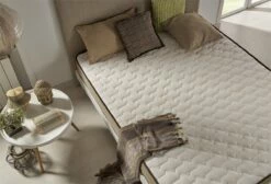 Colchón Viscoelásticoelástico Bamboo Confort 67,5x180 Altura 21cm ±2 -Forros De Cama Ventas 2024 d26d39ba5d4b40e99edc2d4d181eebcfa58dcb66 71b2fd908054446cb85f085f287f6fef