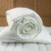 Relleno Nórdico ALOE VERA + Almohada 63x63 Cm 2 Relleno Nórdico ALOE VERA + Almohada 63x63 Cm -Forros De Cama Ventas 2024 d869a0595fe035b2897fe1f82310704dc5ba35da 398811 G