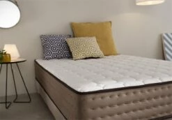 Colchón Viscoelásticoelástico Grafeno Exclusivo 67,5x180 Altura 29cm ±2 -Forros De Cama Ventas 2024 e463bff9101918984b2e602e7363319b49eacc6f fa9d2a09076d4b6fa1058b6c7a3a4a57